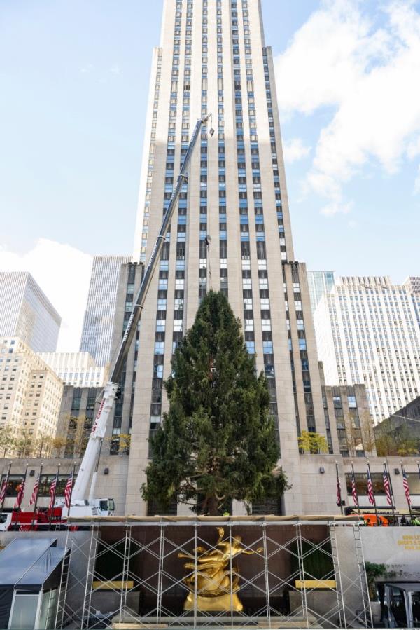 Scaffolding and a crane near the 2023 Rockefeller Center Christmas tree. 