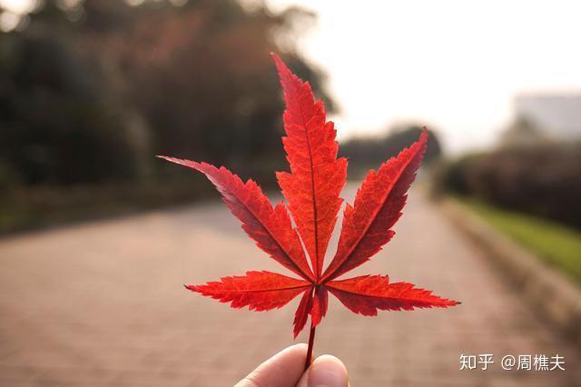 逆袭人生的秘密武器：艾思格的智慧之源_逆袭人生的秘密武器：艾思格的智慧之源_逆袭人生的秘密武器：艾思格的智慧之源