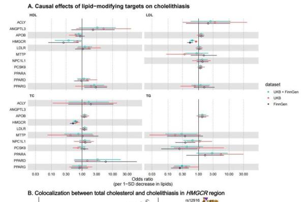 New study sheds light on the l<em></em>ink between lipids and cholelithiasis