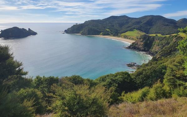 Great Barrier Island