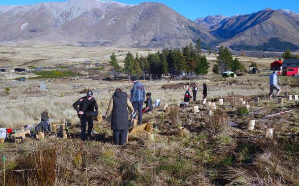 People planting trees near the Lake ōhau alpine village.