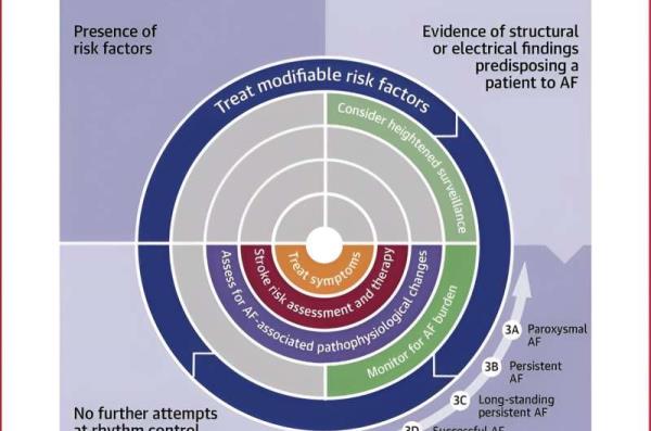 Early rhythm control, lifestyle modification and more tailored stroke risk assessment are top goals in managing atrial fibrillation