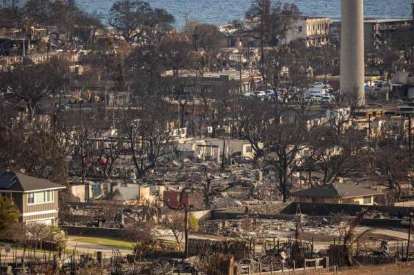 A scene from the devastation in Maui last August, wher<em></em>e wildfires caused dozens of deaths and billions of dollars worth of property damage.