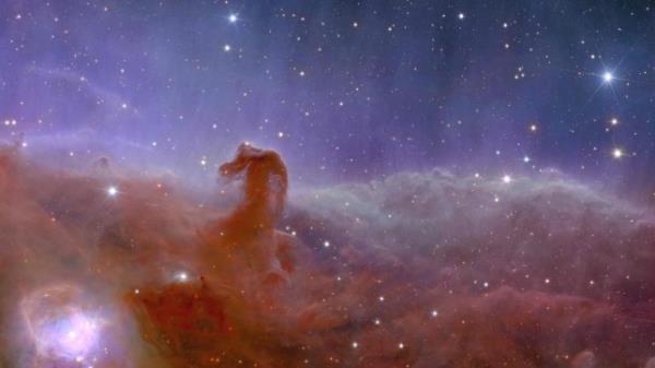 The Horsehead Nebula, captured by Euclid