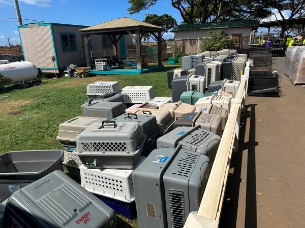 Pet carriers are stacked outside the Maui Humane Society 