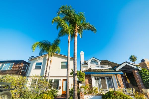 Palm trees and luxury houses in Newport Beach, Orange County Southern California, USA