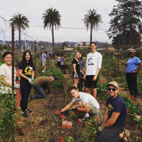 Students from University of California Berkeley