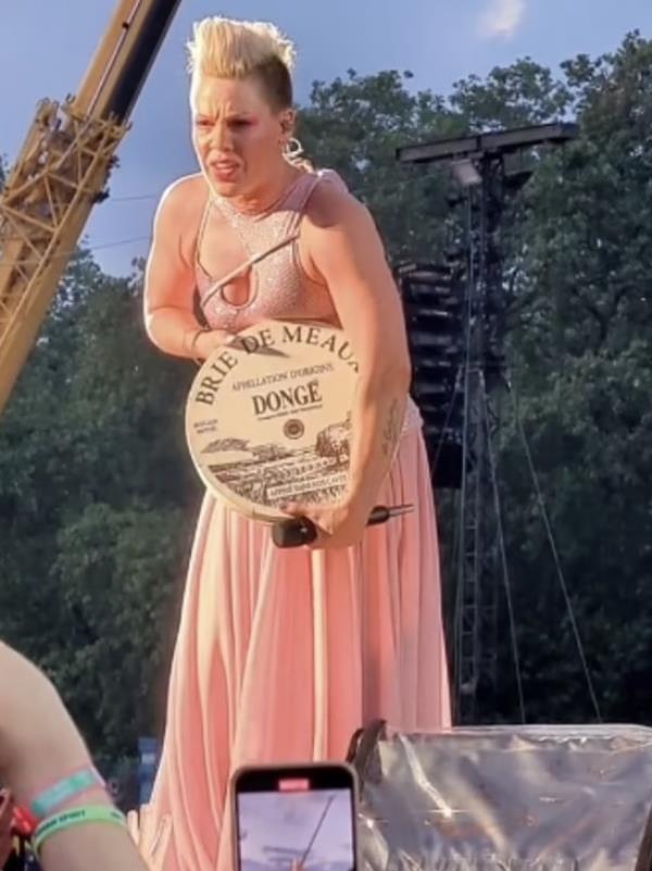 Pop singer Pink appeared to be gobsmacked during a co<em></em>ncert at Hyde Park in Lo<em></em>ndon on June 24 when a fan passed forward a giant wheel of cheese as a gift while she performed.</p>

<p>　　