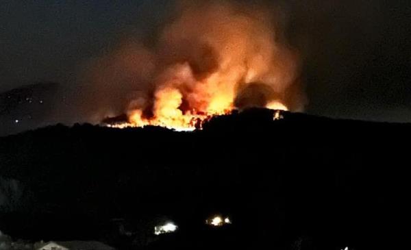 The wildfire near Henderso<em></em>nville on Saturday night.