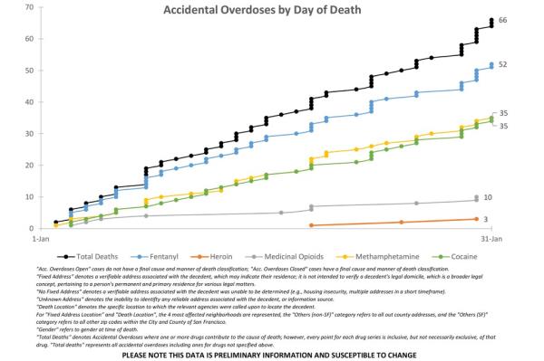 Graph of accidental drug overdose data report for January 2024, categorized by day of death.